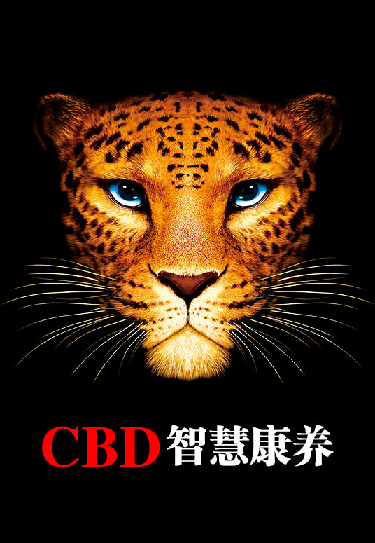 CBD智慧康养